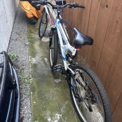 Road Bike And Mountain Bike 