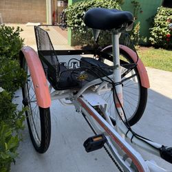 3 Wheel Electric Bike