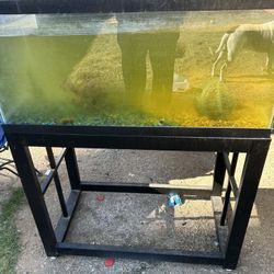 55 Gallons Aquarium And Stand 