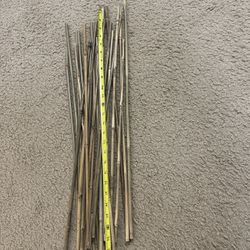 Bundle Of Bamboo Cane 27”Long For Vases Filler Or Garden Plant Support Pick Up In Gaithersburg Md20877