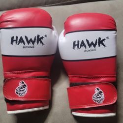 Boxing Gloves Youth