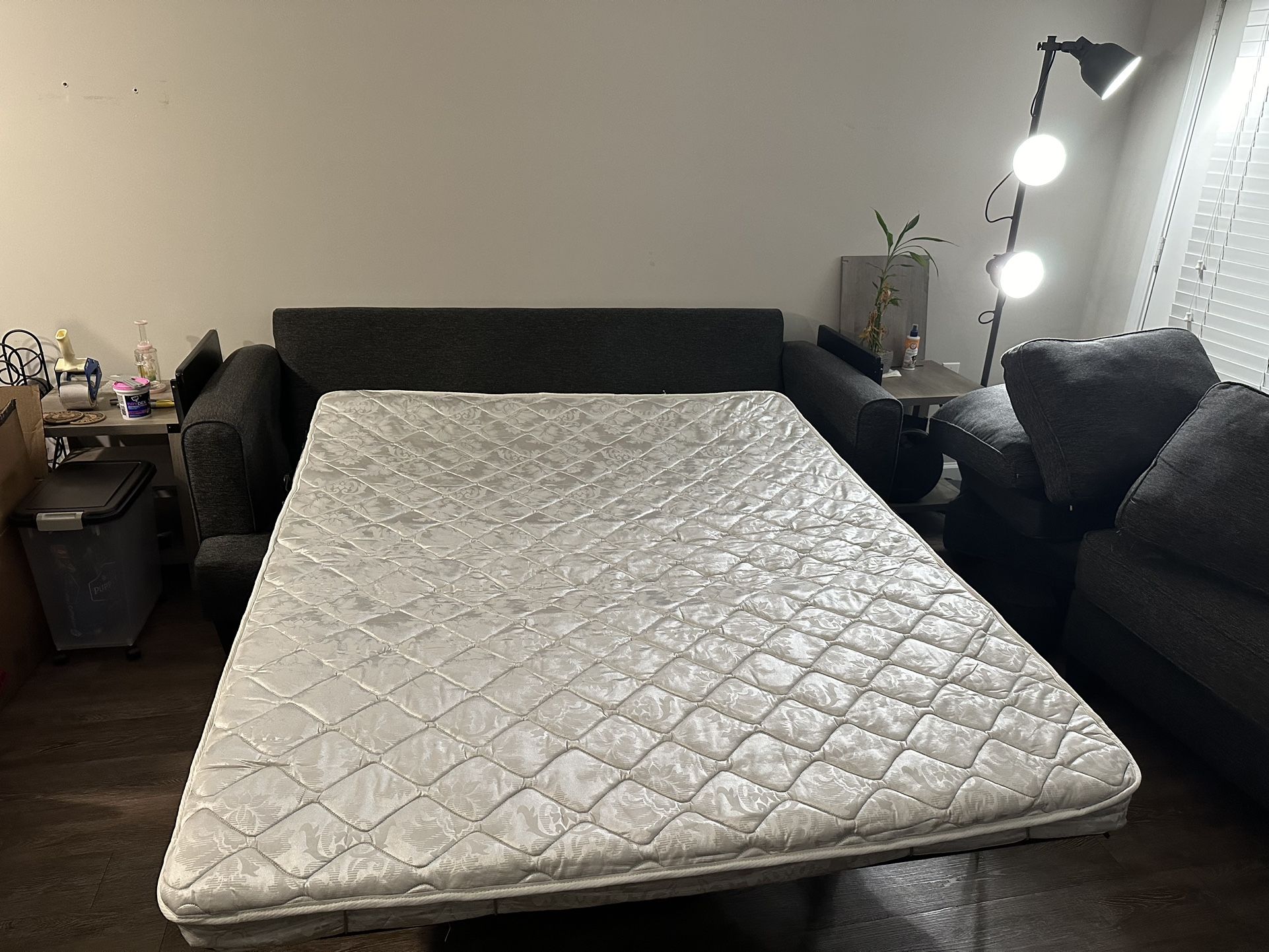 Sleeper Sofa & Love Seat (with Decorating Pillows)