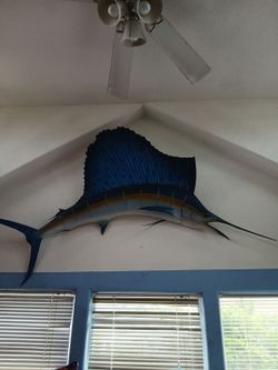 Sailfish mounted large Incredible find!