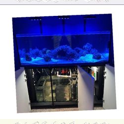 Massive Aquarium Tank - Wide & Stunning Display sense allow