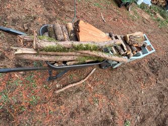 Two wheel barrels of firewood