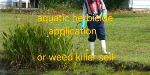 Pesticides