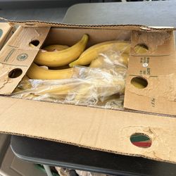 Free Fresh Plantains. Have Several Boxes. 