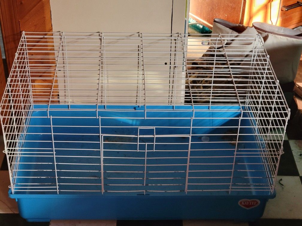 Small Animal/bunny Crate 