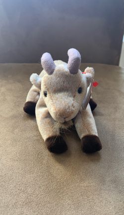 Goatee the goat beanie baby