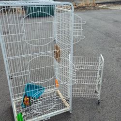 Big Bird Cage
