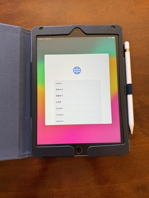 iPad / 6th / 32 GB / Excellent condition/ includes original charger + Apple Pencil  + case.