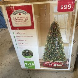 Lighted Christmas Tree