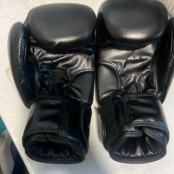 Brand New Boxing gloves