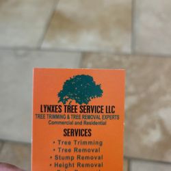 Selling Trees And Stumps