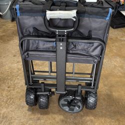 Folding Wagon 