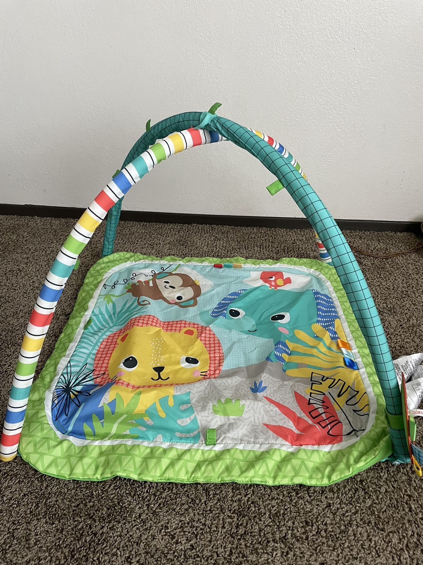 Play mat/ Activity Gym