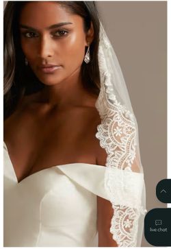Cathedral Veil With Lace Sequined