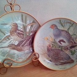 Game Birds Of The World Common Snipe And Partridge 2pc Franklin Porcelain Collector Plates By Basil Ede