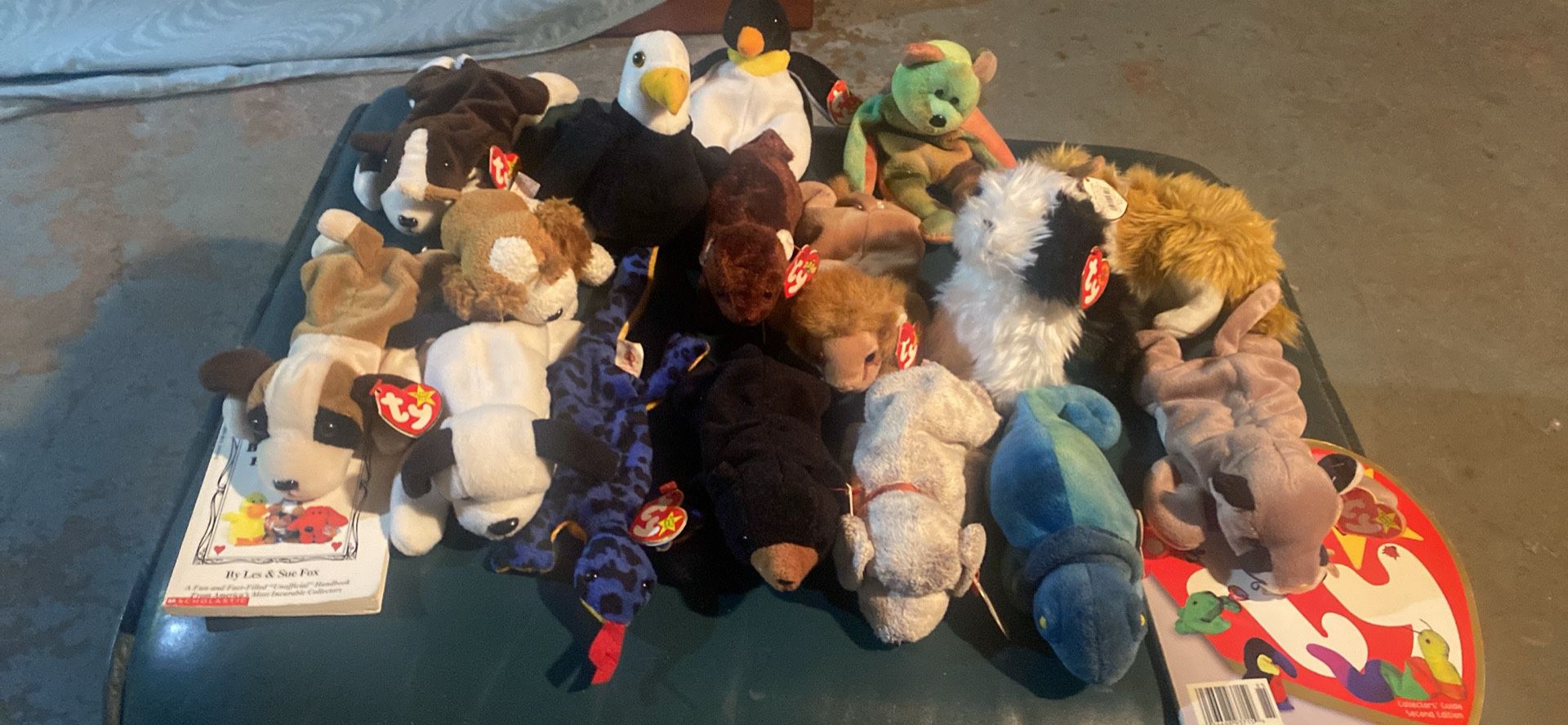 Beanie Baby Collection 