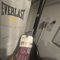 $150 - Everlast boxing Bag With Pink Gloves