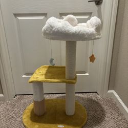 Yellow Cat Tree Cloud Top