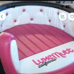 Dog 🐕 Cat 🐈‍⬛ Bed 🛌 