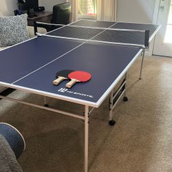 Pingpong Table 