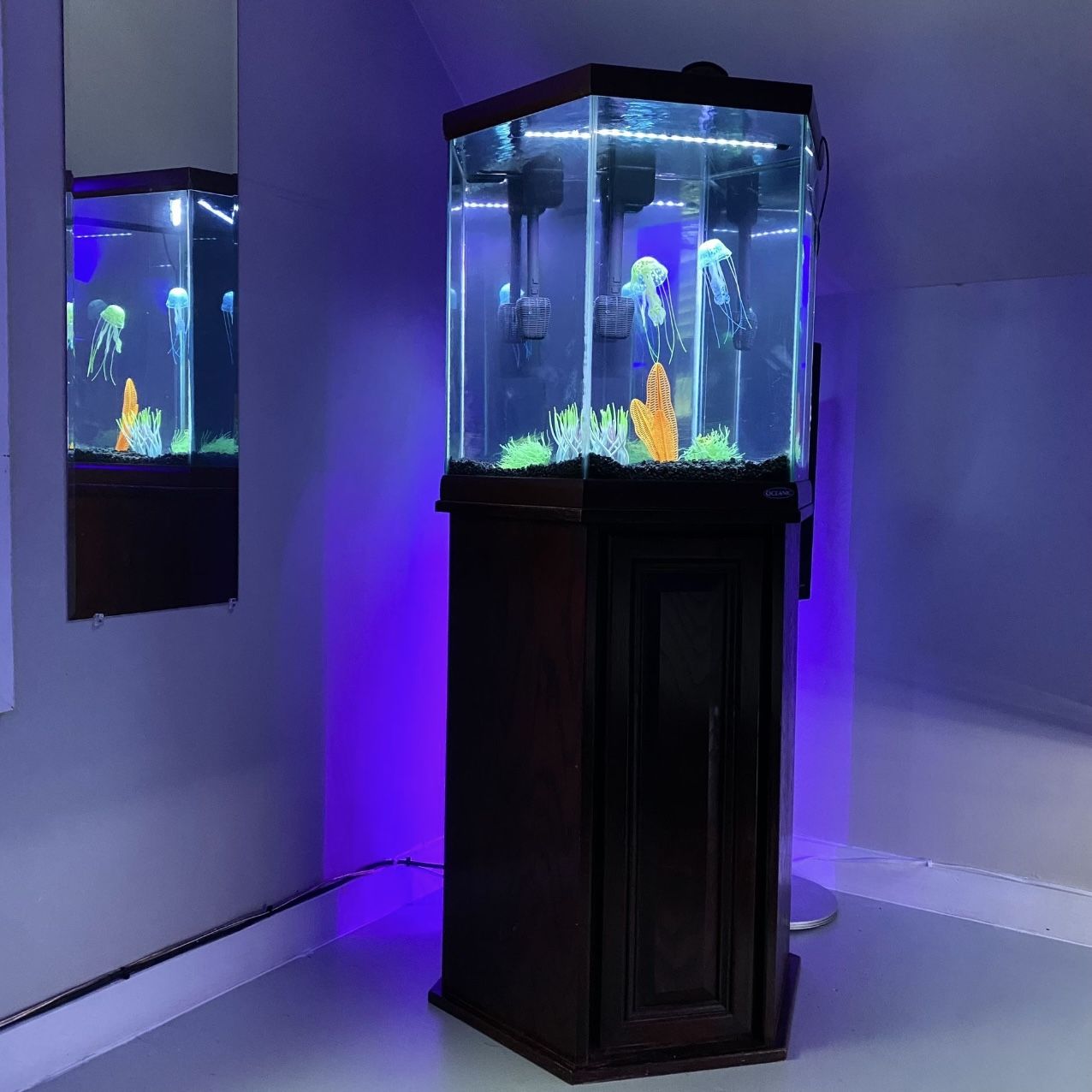 25-30 Gallon  Hexagonal Aquarium