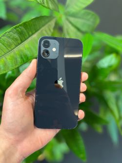 iPhone 12 - Unlocked - 64GB