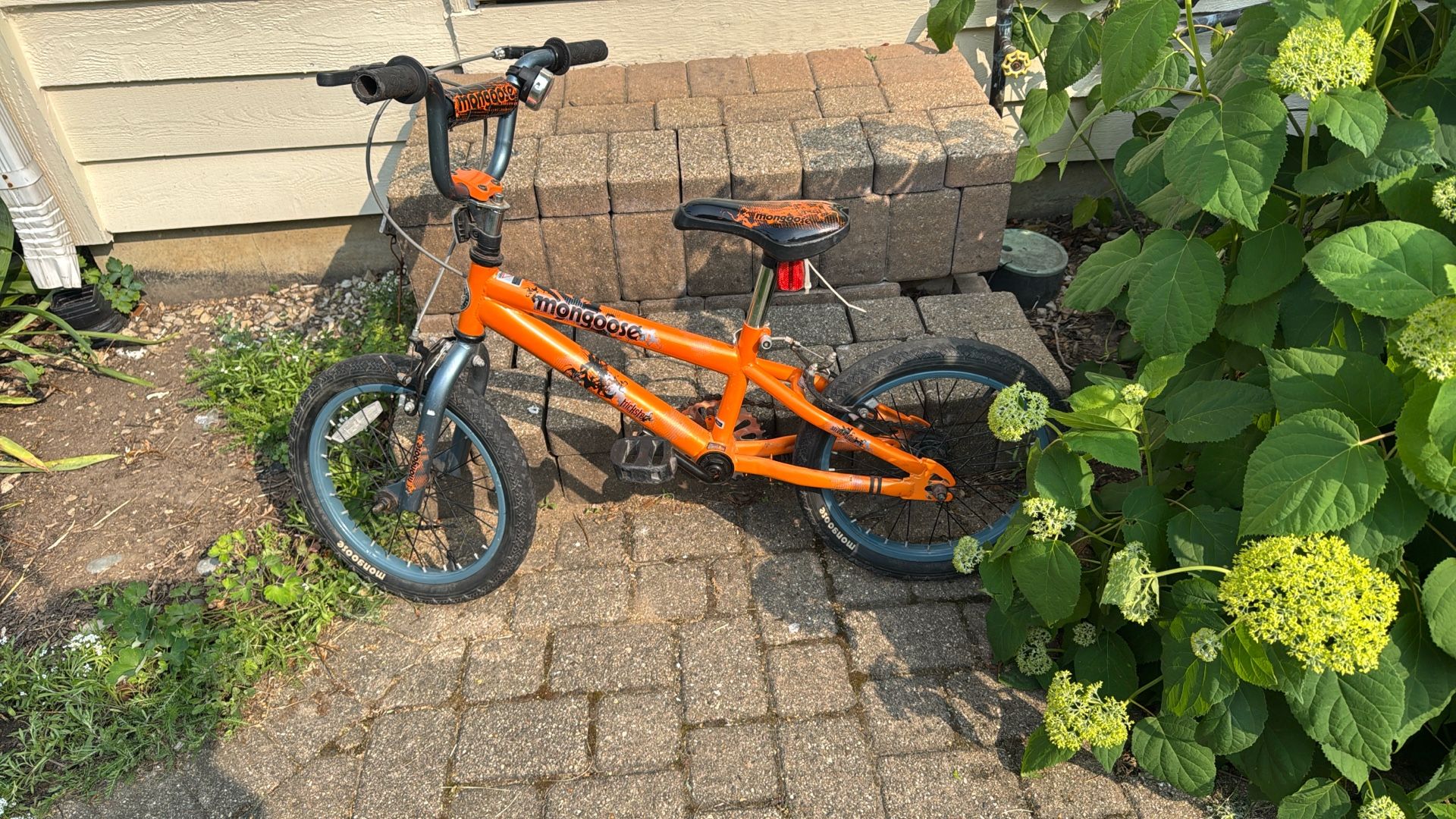Mongoose Kid’s Bike