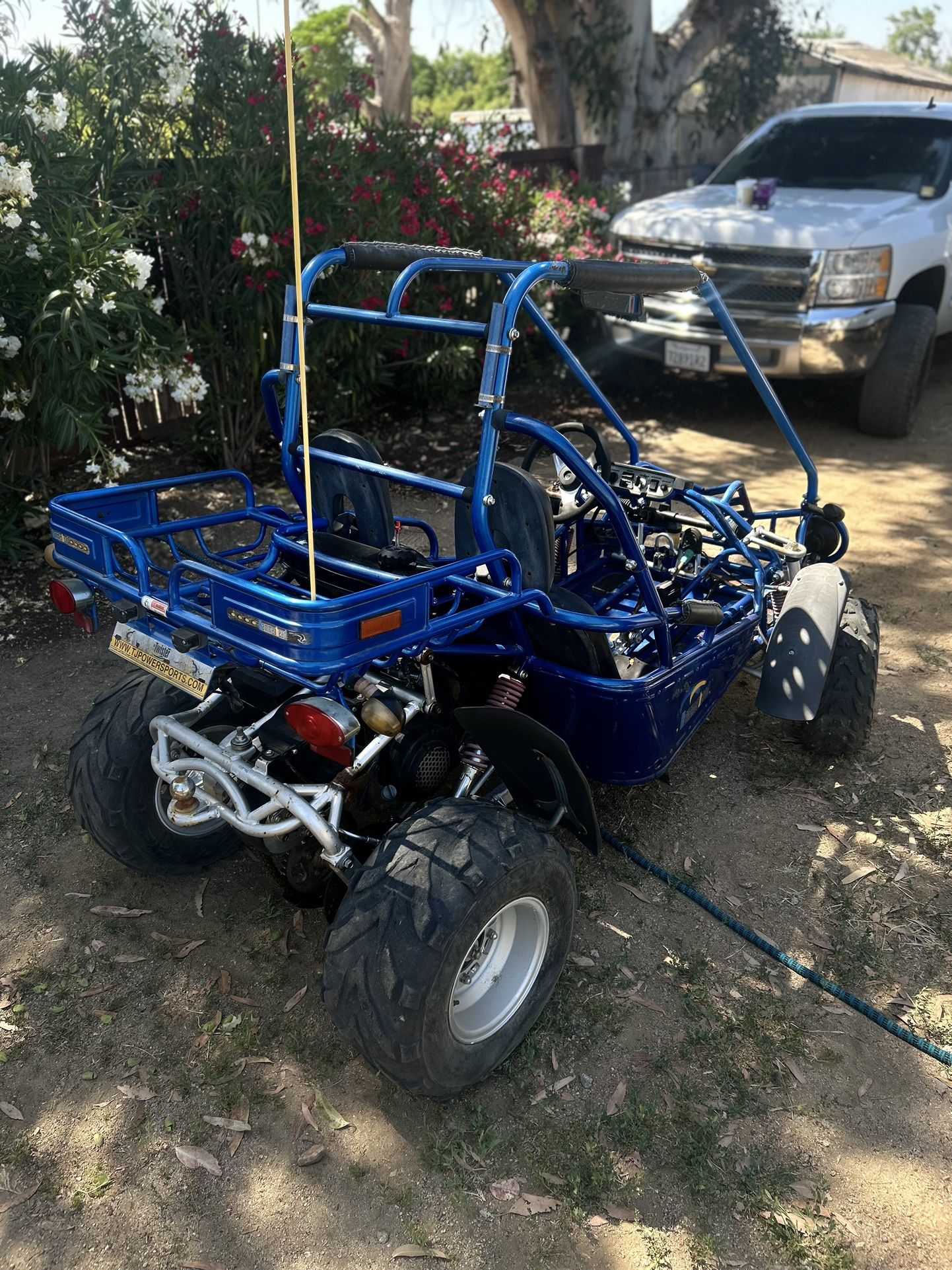 Hammer Head Buggy