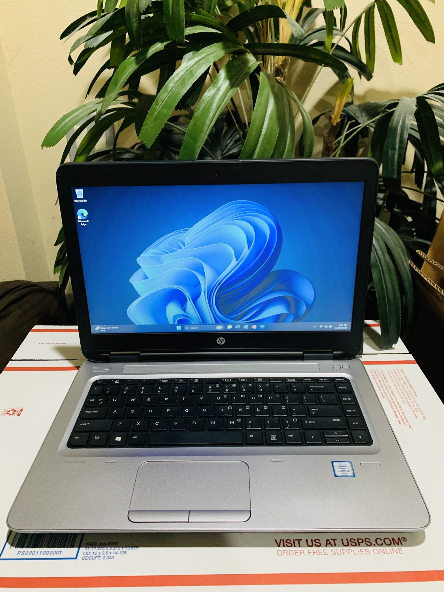 HP Laptop - 12GB DDR4 Ram, Intel Core i5 @ 2.30GHz, Windows 11 Pro 64bit, MS Office 2024