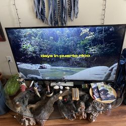 Vintage Tree root Glass table