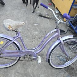 schwinn 24 in beach cruiser 