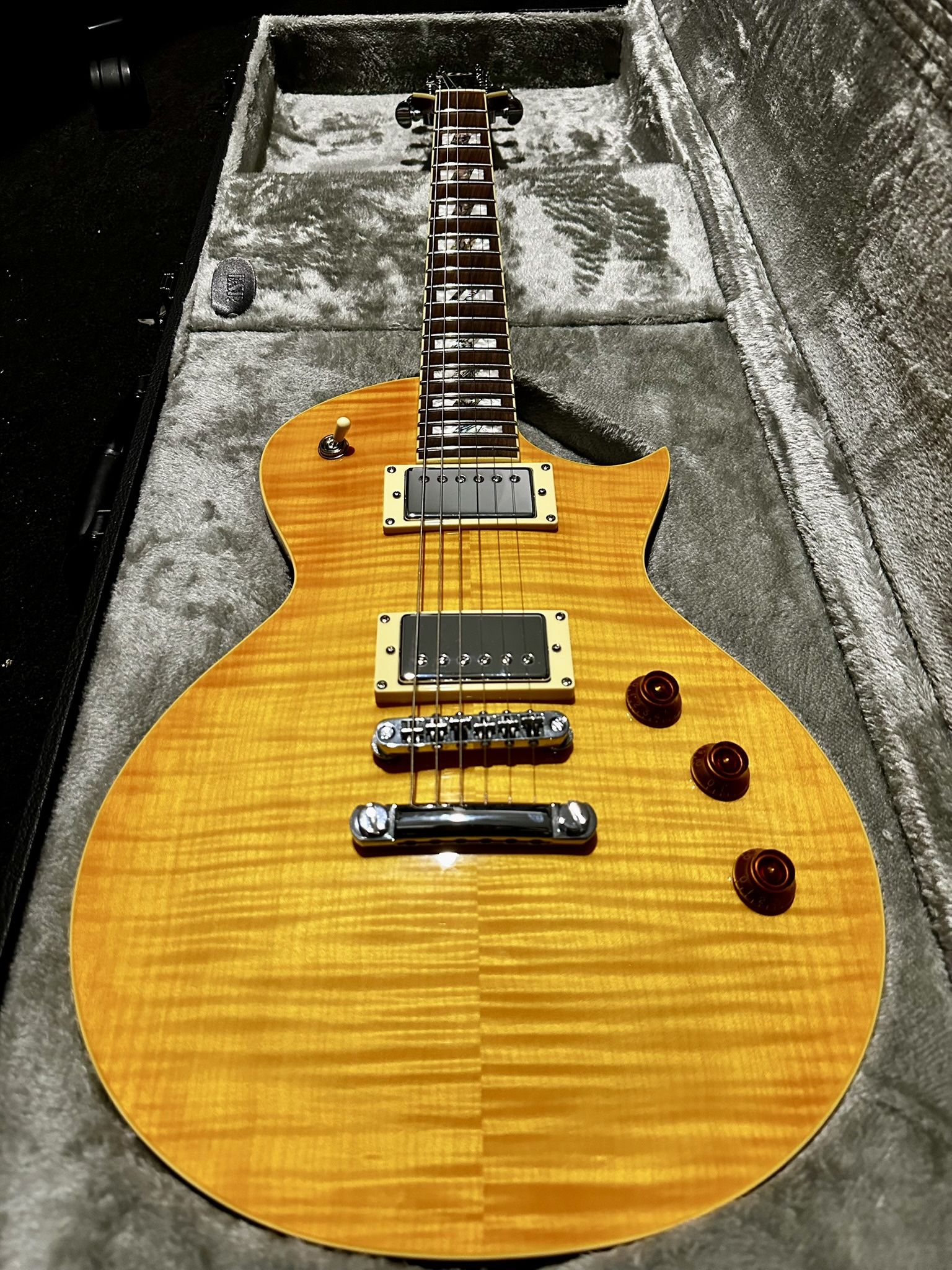 ESP LTD Alex Skolnick Testament  