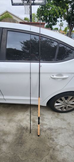 Fishing rod 10 ft