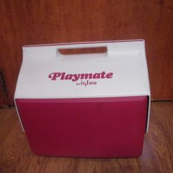 Playmate By Igloo Cooler
