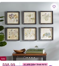 Botanical Framed Wall Art Set of 6