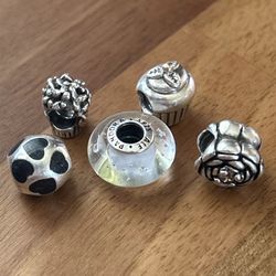 Pandora Authentic rare Charms Retired 30 Each