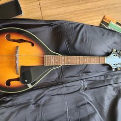 Mandolin Instrument