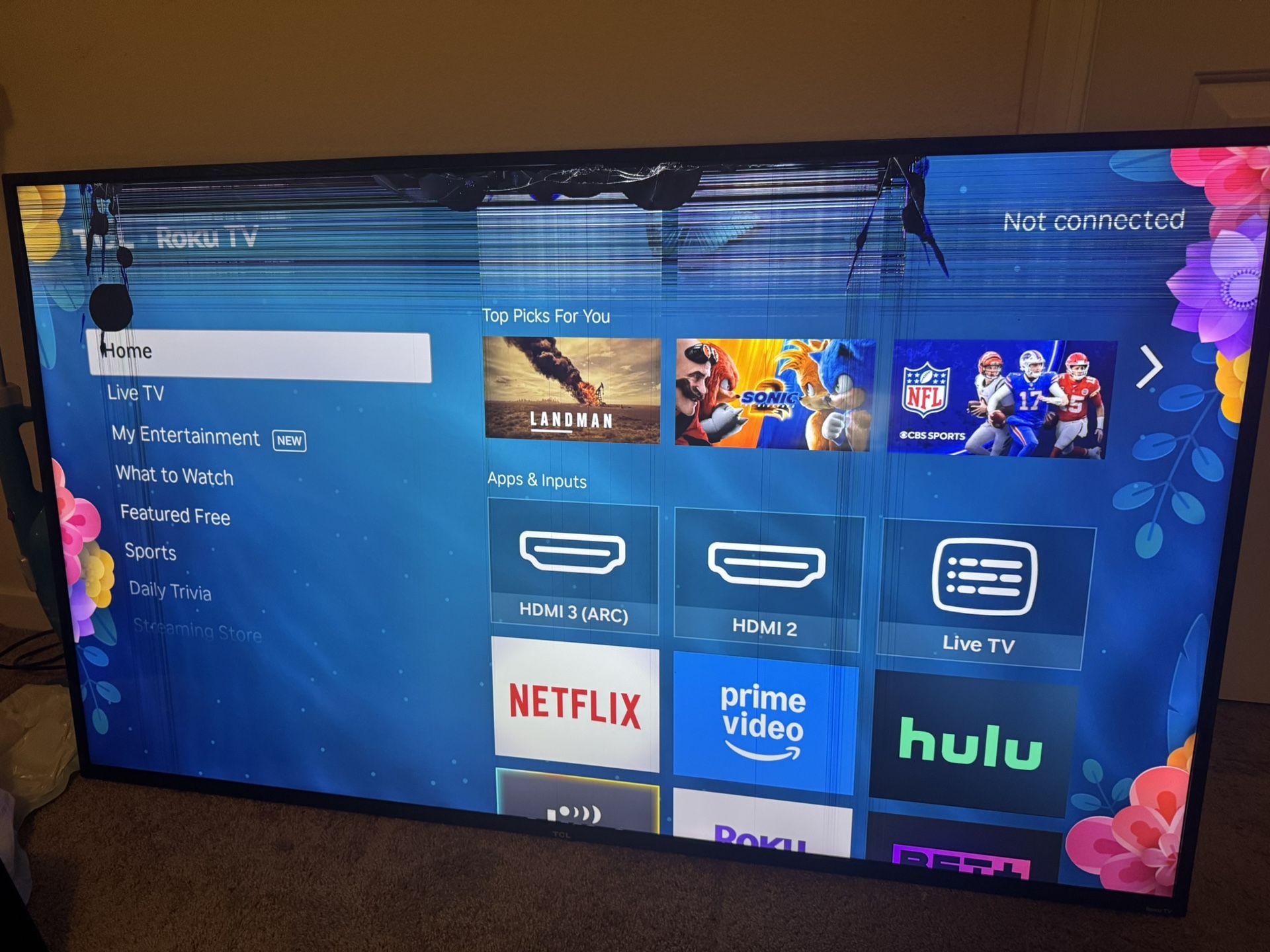 65’ Roku TCL TV