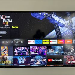 Insignia 50 Class LED 2160p Smart 4K UHD TV with HDR Fire TV Edition