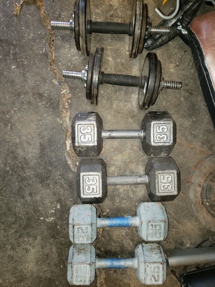 Dumbbells and bench