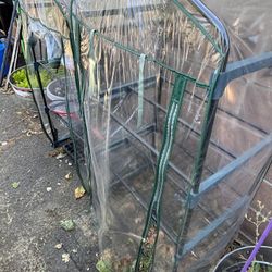 Greenhouse 