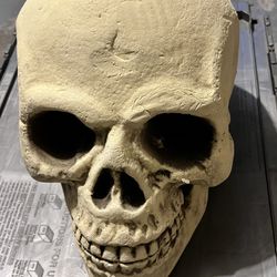Shindigz Foam Skull Halloween Decoration- Head