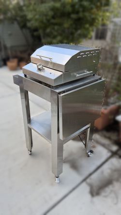 Kenyon G2 Electric Grill with Fold-Out Table and Wheels, Stainless Steel, Utensils Included