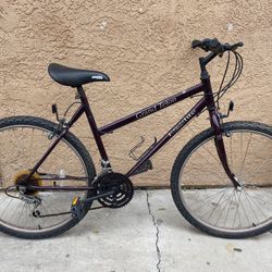 Mountain Bike