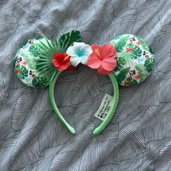 Disney Ears