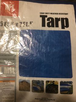 Tarp