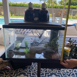 Terrarium  W/ Accessories
